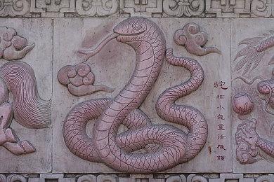 《42中队》招聘有主机开发经验的工作人员